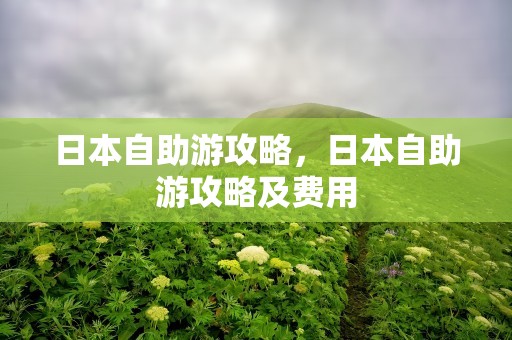 日本自助游攻略，日本自助游攻略及费用