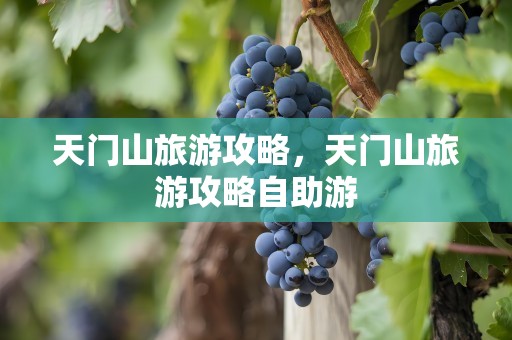 天门山旅游攻略，天门山旅游攻略自助游
