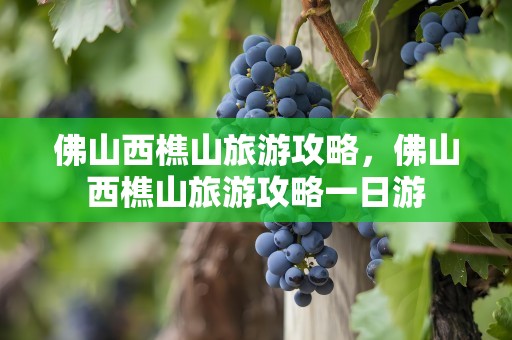 佛山西樵山旅游攻略，佛山西樵山旅游攻略一日游