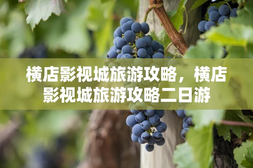 横店影视城旅游攻略，横店影视城旅游攻略二日游
