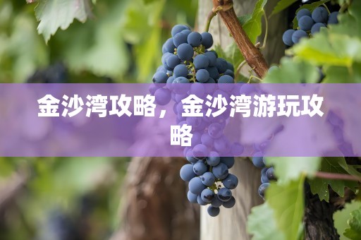 金沙湾攻略，金沙湾游玩攻略