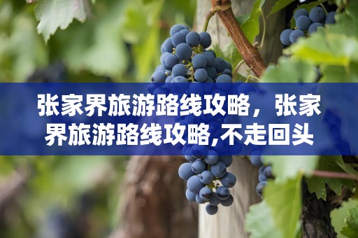 张家界旅游路线攻略，张家界旅游路线攻略,不走回头