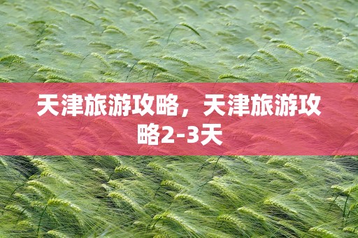 天津旅游攻略，天津旅游攻略2-3天