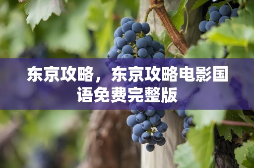 东京攻略，东京攻略电影国语免费完整版