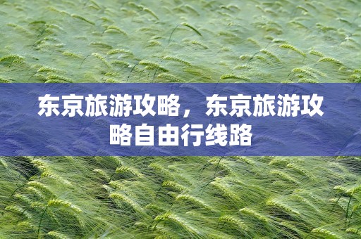 东京旅游攻略，东京旅游攻略自由行线路