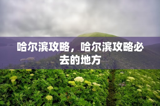 哈尔滨攻略，哈尔滨攻略必去的地方