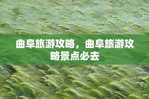曲阜旅游攻略，曲阜旅游攻略景点必去