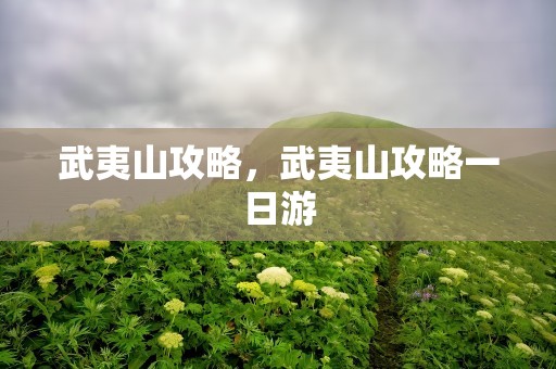 武夷山攻略，武夷山攻略一日游