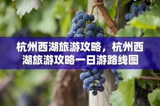 杭州西湖旅游攻略，杭州西湖旅游攻略一日游路线图