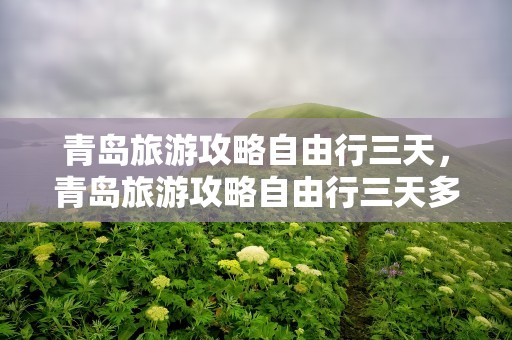 青岛旅游攻略自由行三天，青岛旅游攻略自由行三天多少钱