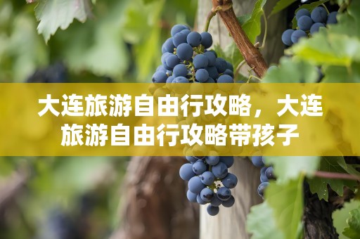 大连旅游自由行攻略，大连旅游自由行攻略带孩子