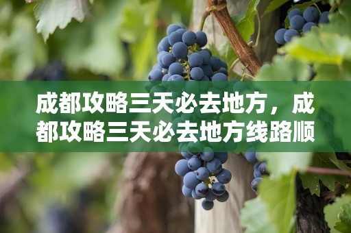 成都攻略三天必去地方，成都攻略三天必去地方线路顺序