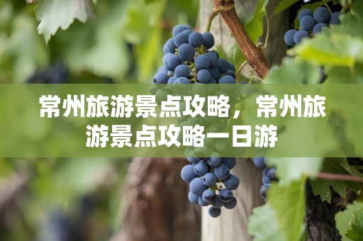 常州旅游景点攻略，常州旅游景点攻略一日游