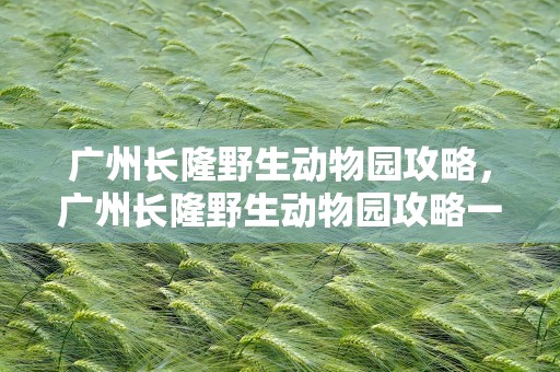 广州长隆野生动物园攻略，广州长隆野生动物园攻略一日游