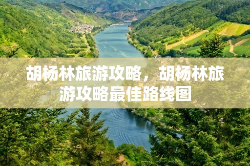 胡杨林旅游攻略，胡杨林旅游攻略最佳路线图