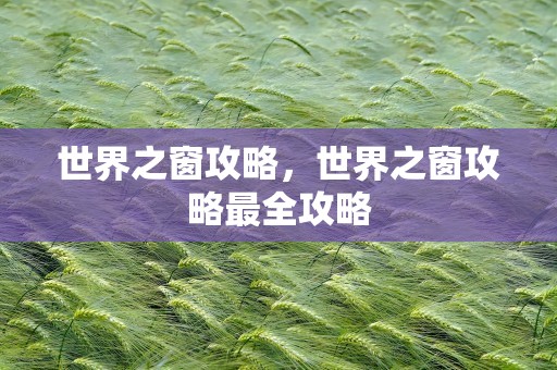 世界之窗攻略，世界之窗攻略最全攻略