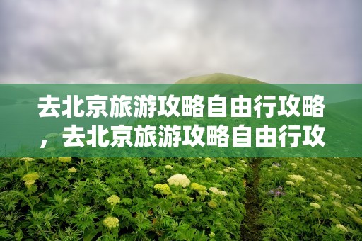 去北京旅游攻略自由行攻略，去北京旅游攻略自由行攻略15天