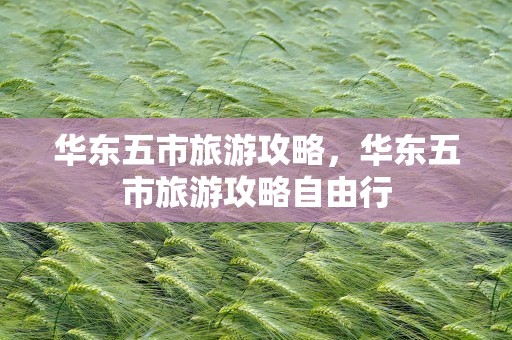 华东五市旅游攻略，华东五市旅游攻略自由行