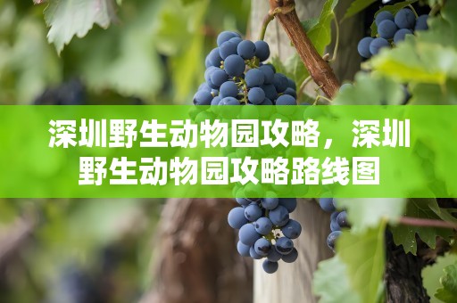 深圳野生动物园攻略，深圳野生动物园攻略路线图