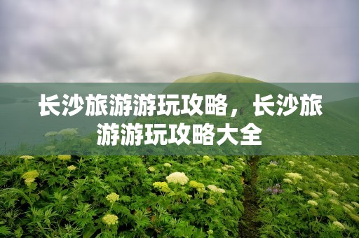 长沙旅游游玩攻略，长沙旅游游玩攻略大全