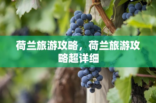 荷兰旅游攻略，荷兰旅游攻略超详细