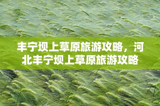 丰宁坝上草原旅游攻略，河北丰宁坝上草原旅游攻略