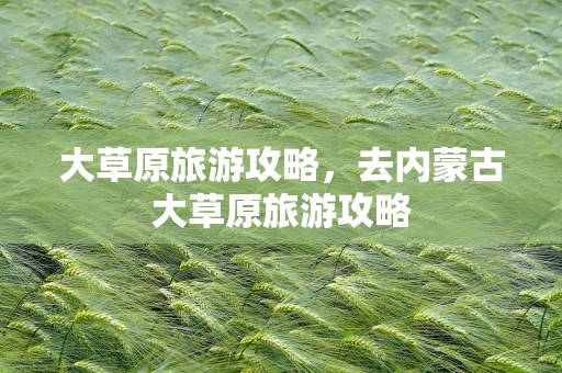 大草原旅游攻略，去内蒙古大草原旅游攻略