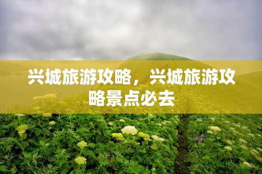 兴城旅游攻略，兴城旅游攻略景点必去