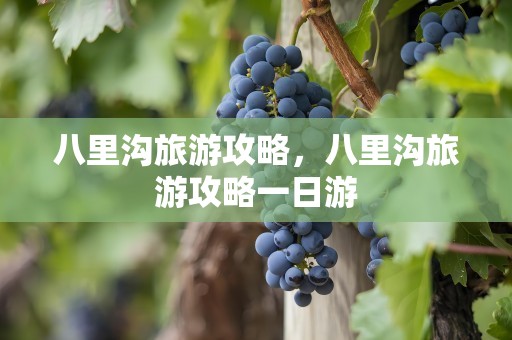 八里沟旅游攻略，八里沟旅游攻略一日游