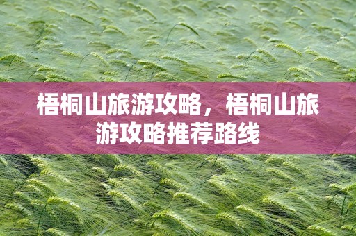梧桐山旅游攻略，梧桐山旅游攻略推荐路线