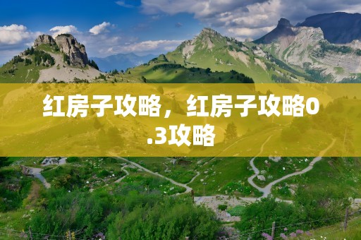 红房子攻略，红房子攻略0.3攻略