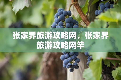 张家界旅游攻略网，张家界旅游攻略网竿
