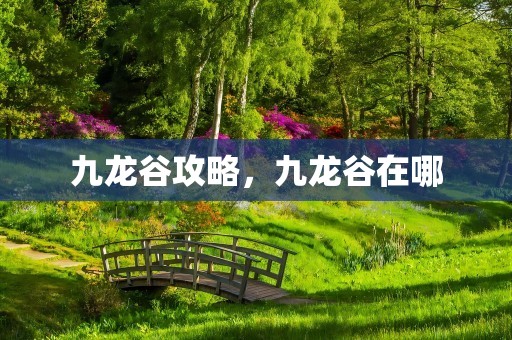 九龙谷攻略，九龙谷在哪