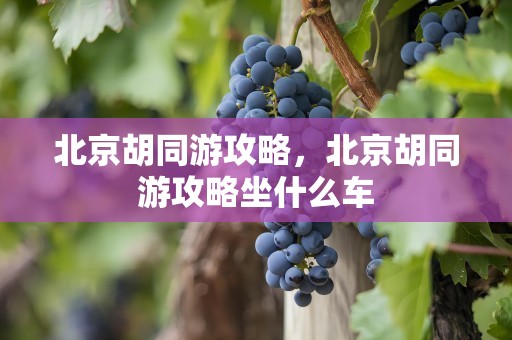 北京胡同游攻略，北京胡同游攻略坐什么车