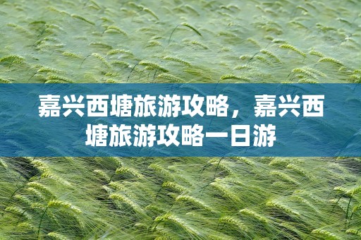 嘉兴西塘旅游攻略，嘉兴西塘旅游攻略一日游