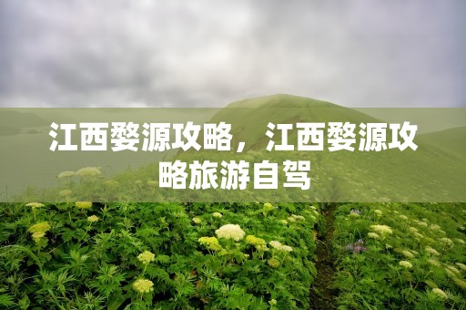 江西婺源攻略，江西婺源攻略旅游自驾