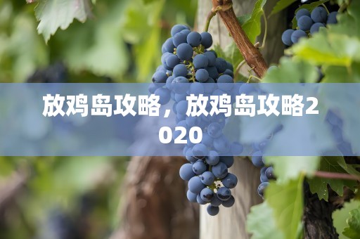 放鸡岛攻略，放鸡岛攻略2020