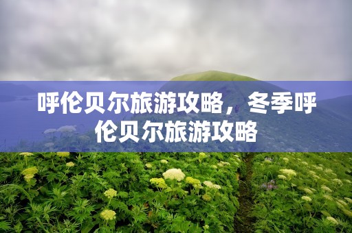 呼伦贝尔旅游攻略，冬季呼伦贝尔旅游攻略