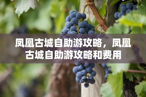凤凰古城自助游攻略，凤凰古城自助游攻略和费用