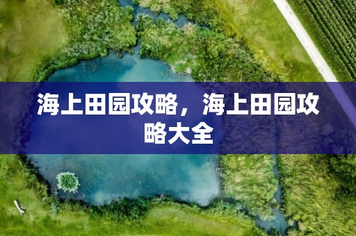 海上田园攻略，海上田园攻略大全
