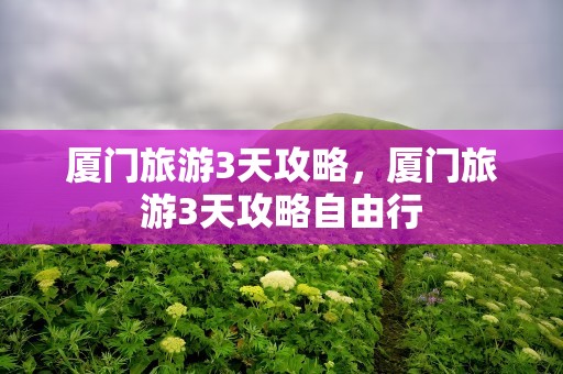 厦门旅游3天攻略，厦门旅游3天攻略自由行