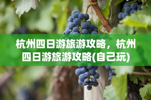 杭州四日游旅游攻略，杭州四日游旅游攻略(自己玩)