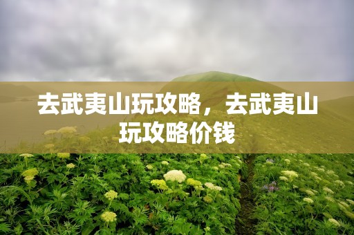 去武夷山玩攻略，去武夷山玩攻略价钱