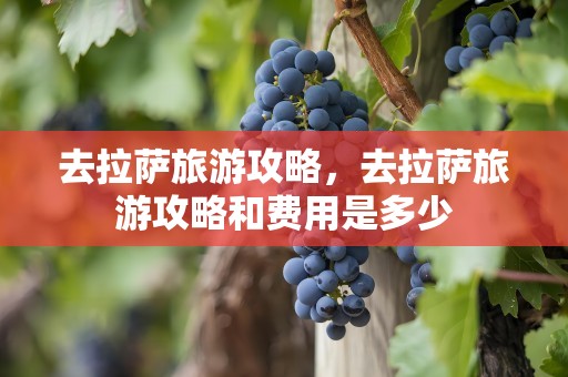 去拉萨旅游攻略，去拉萨旅游攻略和费用是多少