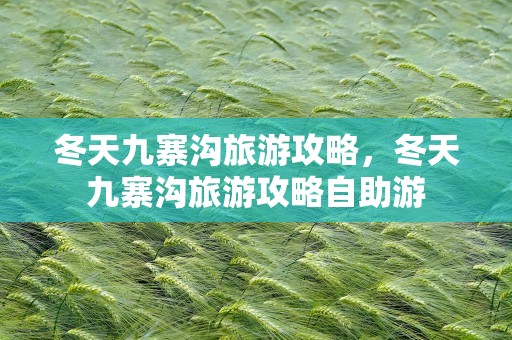 冬天九寨沟旅游攻略，冬天九寨沟旅游攻略自助游
