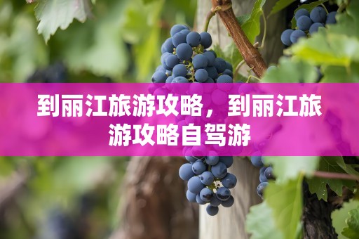 到丽江旅游攻略，到丽江旅游攻略自驾游