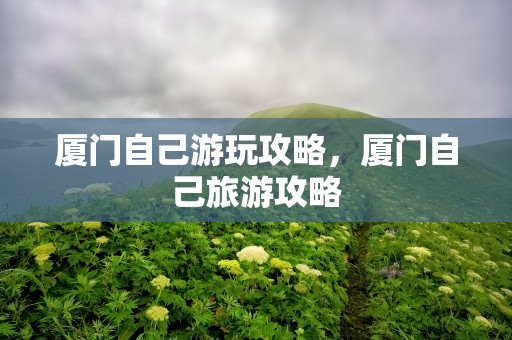 厦门自己游玩攻略，厦门自己旅游攻略