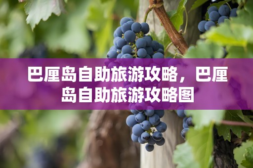 巴厘岛自助旅游攻略，巴厘岛自助旅游攻略图