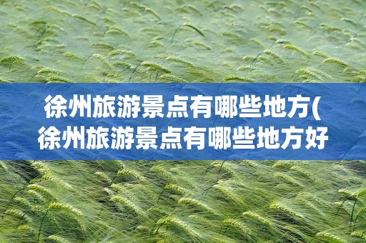 徐州旅游景点有哪些地方(徐州旅游景点有哪些地方好玩)