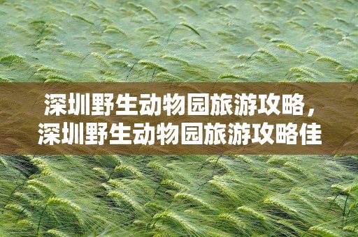 深圳野生动物园旅游攻略，深圳野生动物园旅游攻略佳线路